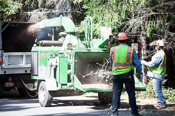 Mulching Services in Westby, WI